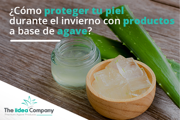 ¿Cómo proteger tu piel durante el invierno con productos a base de agave?