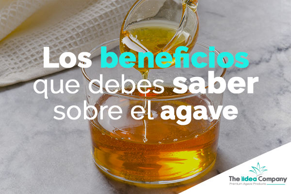 Los beneficios que debes saber sobre el agave